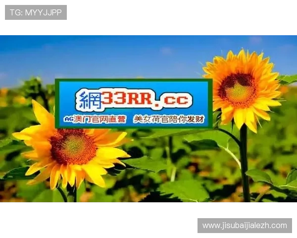 BG视讯官网提供多种便捷的支付方式，保障您的资金安全与快速入款体验